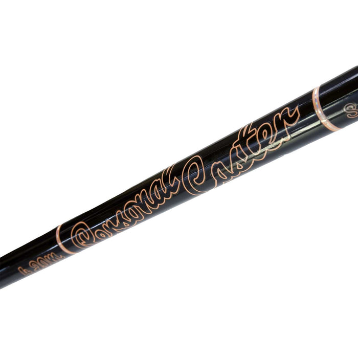 Rute Personal Caster Wtg 200g 4,20m Lineaeffe 2270142