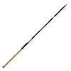 Rod Lancer 80g 3,90m Lineaeffe 2868539
